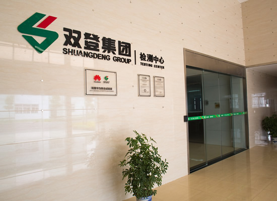 雙登液流電池，壽命突破20年大關(guān)，重塑綠色能源儲(chǔ)運(yùn)新未來